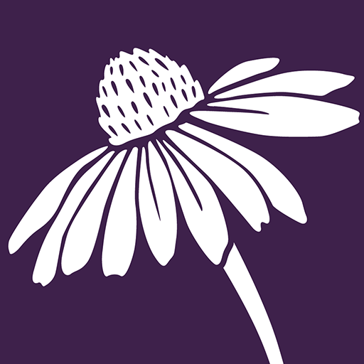 Wild Ones Wayne County Chapter