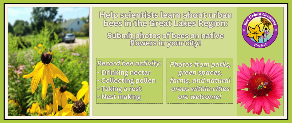 Urban Bees of the Great Lakes Region iNaturalist Project Details